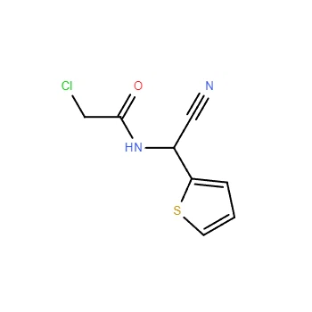 CAS 263137-41-3|2-クロロ-N-( -シアノ-2-テニル)アセトアミド