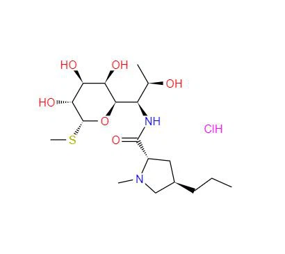 CAS:859-18-7丨リンコマイシン塩酸塩